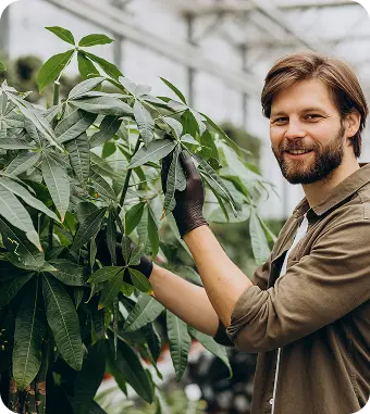 Cannabis delivery NJ supplies for home growers in New Jersey