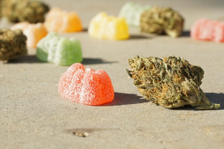 Edible Weed demonstrating how gummies and infused products deliver cannabinoids through digestion