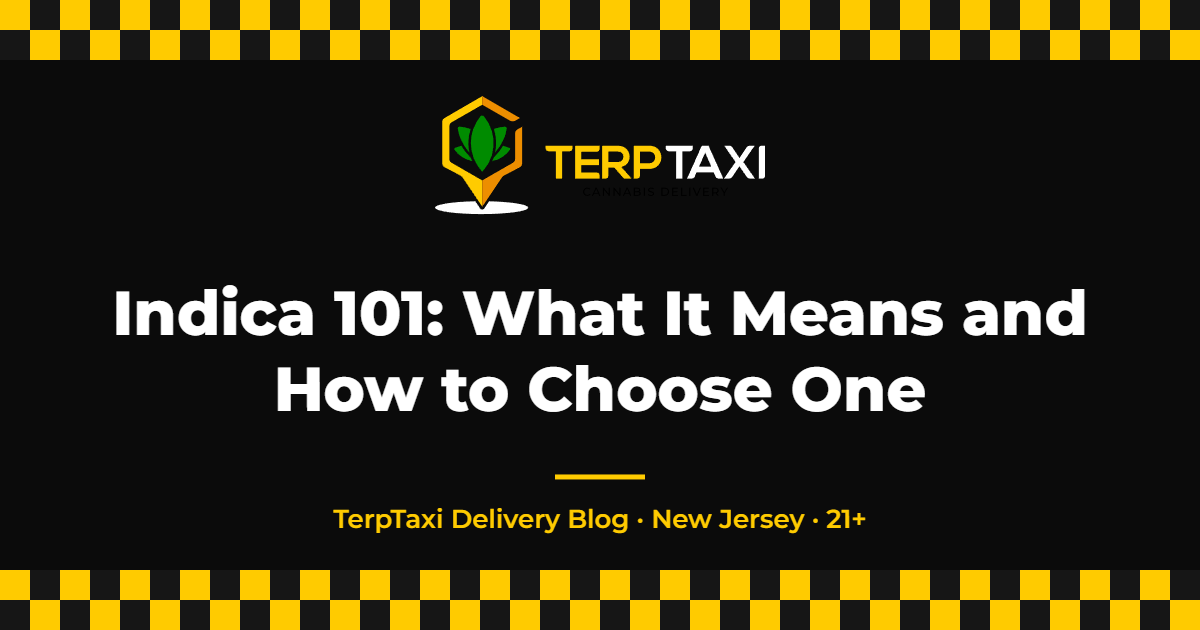 Indica 101: What It Means and How to Choose One — TerpTaxi Delivery NJ