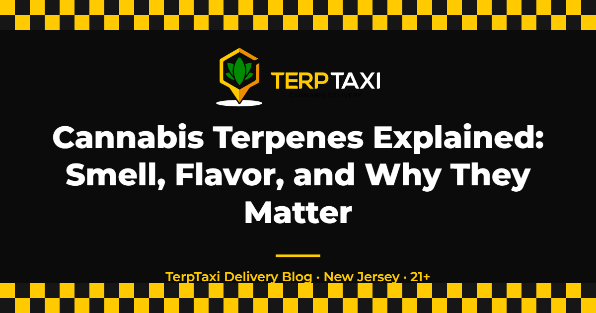 Cannabis Terpenes Explained: Smell, Flavor, and Why They Matter — TerpTaxi Delivery NJ