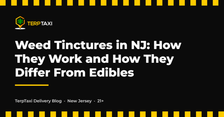 TerpTaxi Delivery blog card: Weed Tinctures in NJ: How They Work and How They Differ From Edibles