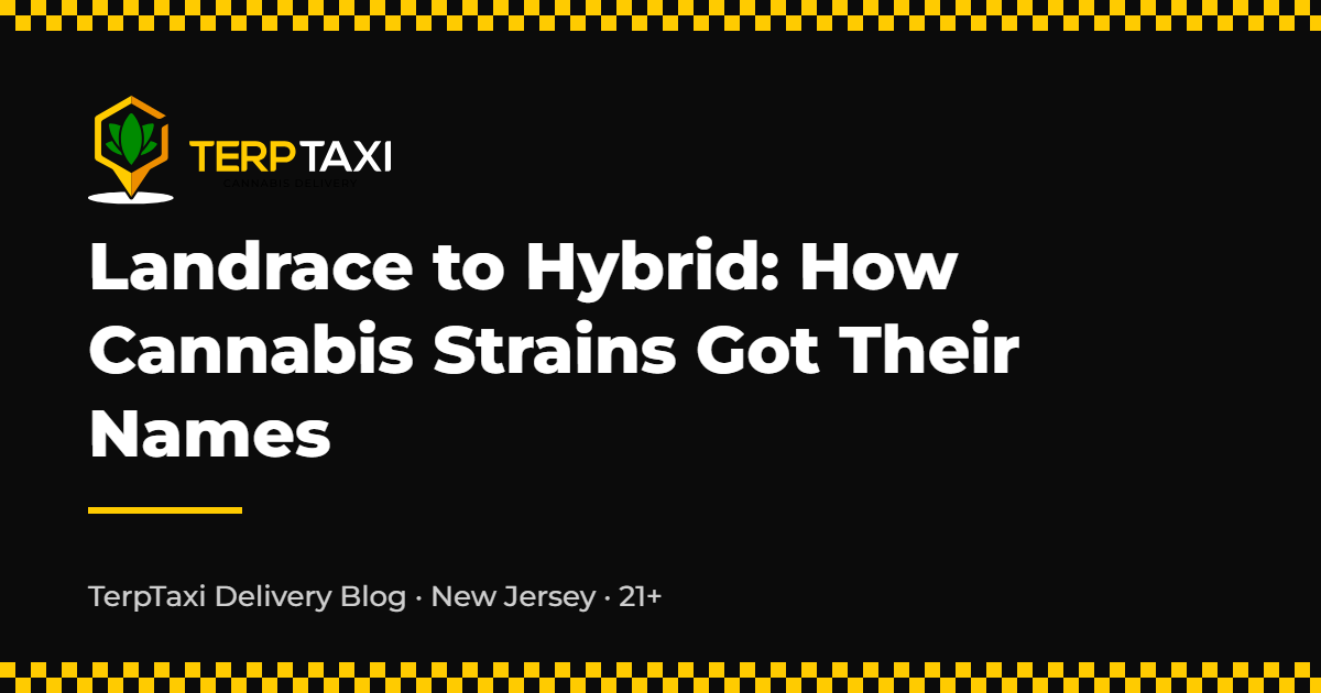 Landrace to Hybrid: How Cannabis Strains Got Their Names